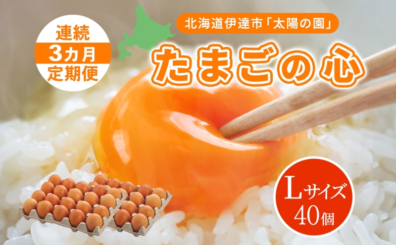 3ヵ月連続お届け  たまごの心 40個 Lサイズ  太陽の園  の平飼たまご  有精卵 北海道 伊達市 たまご 卵 生たまご 鶏卵 北海道産 鶏の卵 ポリスブラウン 食材 卵かけごはん TKG オムレツ オムライス 【農福連携】
