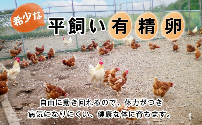 北海道産 6ヵ月連続お届け   たまごの心 40個 Lサイズ   太陽の園  の平飼たまご  有精卵 北海道 伊達市 たまご 卵 生たまご 鶏卵  鶏の卵 ポリスブラウン 食材 卵かけごはん TKG オムレツ オムライス 【農福連携】