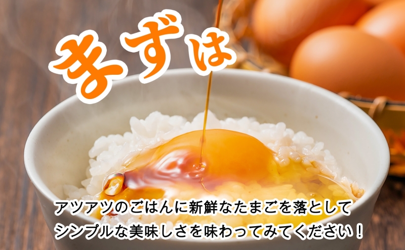 北海道産 6ヵ月連続お届け   たまごの心 40個 Lサイズ   太陽の園  の平飼たまご  有精卵 北海道 伊達市 たまご 卵 生たまご 鶏卵  鶏の卵 ポリスブラウン 食材 卵かけごはん TKG オムレツ オムライス 【農福連携】