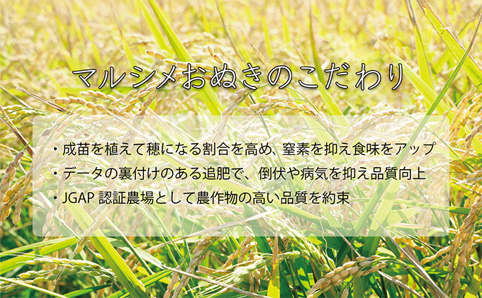 ◆ R6年産 定期便 12ヵ月 ◆JGAP認証【おぬきさん家のゆめぴりか】5kg≪北海道伊達産≫