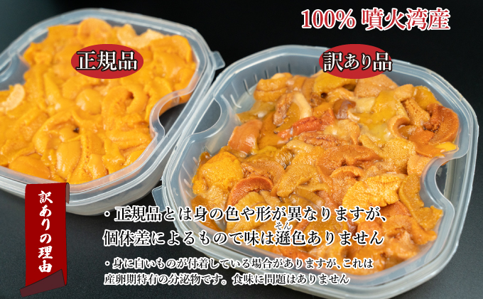訳あり 北海道 噴火湾産 塩水 バフンウニ 100g 1パック うに ウニ 雲丹 海鮮 海の幸 魚介類 ウニ丼 お寿司 濃厚 無添加 産地直送 お取り寄せ 山村水産 送料無料