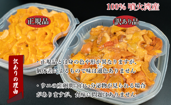 訳あり 北海道 噴火湾産 塩水 バフンウニ 100g 2パック 計200g うに ウニ 雲丹 海鮮 海の幸 魚介類 ウニ丼 お寿司 濃厚 無添加 産地直送 お取り寄せ 山村水産 送料無料