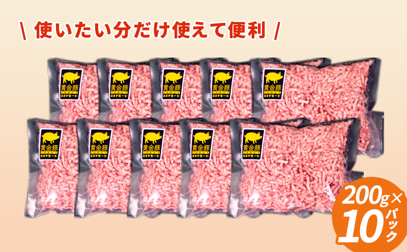 北海道 定期便 3ヵ月連続3回 豚ひき肉 普通挽き 200g 10パック 伊達産 黄金豚 三元豚 ミンチ 挽肉 お肉 小分け ハンバーグ 餃子 そぼろ 大矢 オオヤミート 冷凍 送料無料