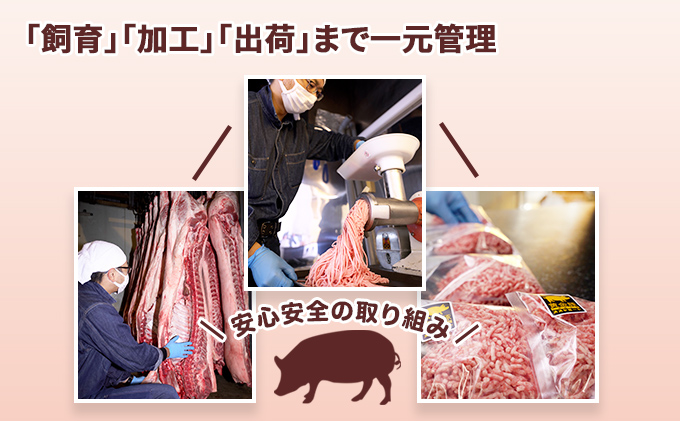 北海道 定期便 隔月3回 豚ひき肉 普通挽き 200g 11パック 伊達産 黄金豚 三元豚 ミンチ 挽肉 お肉 小分け ハンバーグ 餃子 そぼろ 大矢 オオヤミート 冷凍 送料無料