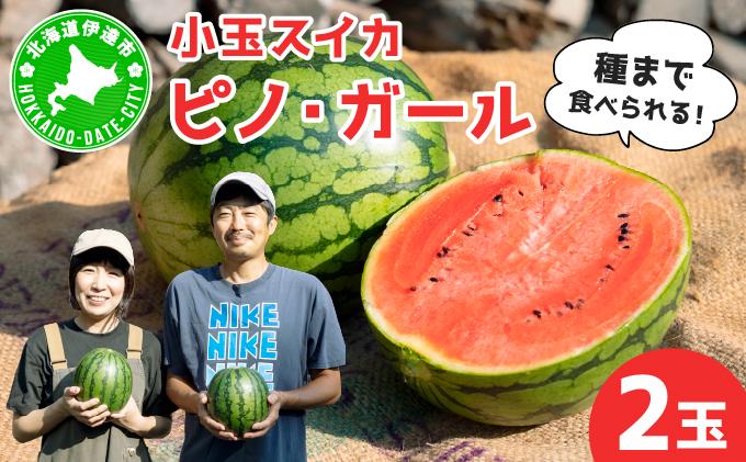 ＜先行予約＞北海道伊達産 小玉スイカ 