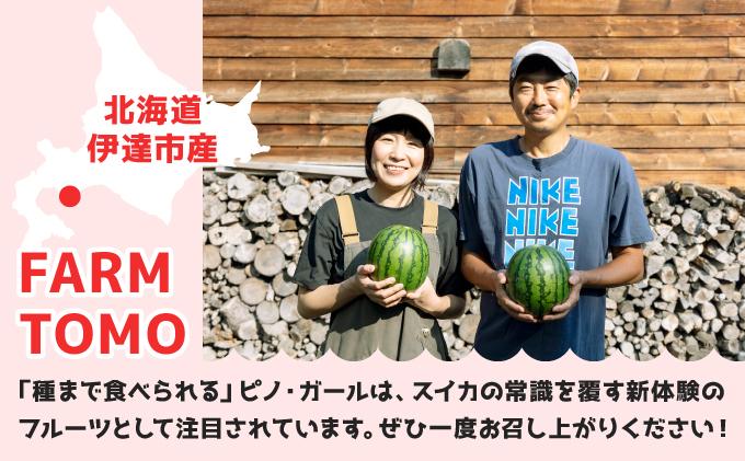 ＜先行予約＞北海道伊達産 小玉スイカ 