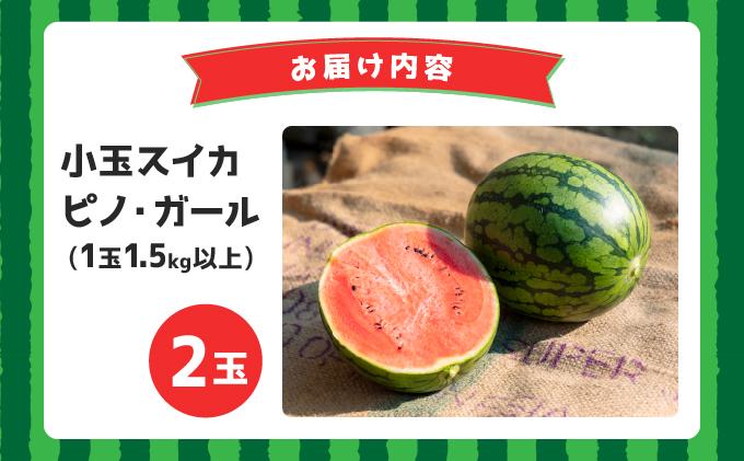 ＜先行予約＞北海道伊達産 小玉スイカ 