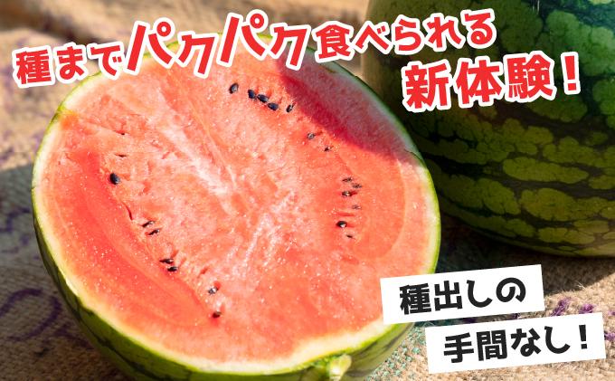 ＜先行予約＞北海道伊達産 小玉スイカ 