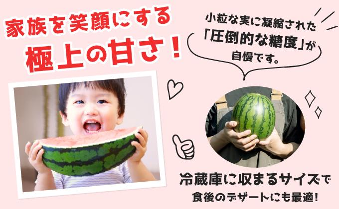 ＜先行予約＞北海道伊達産 小玉スイカ 