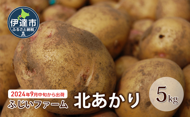 北海道 伊達市[ ジャガイモ じゃがいも 北あかり ]約5kg 季節限定 ≪ふじいファーム≫