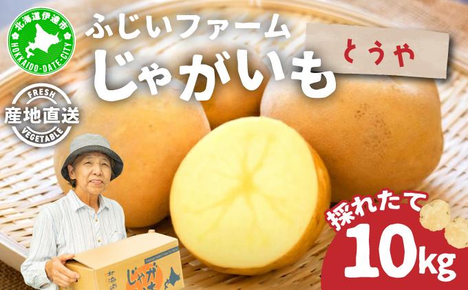 ＜先行予約＞北海道産 じゃがいも(とうや) 約10kg【hjf-004】ジャガイモ 馬鈴薯 ポテト 芋 イモ 国産 野菜 人気 ふじいファーム