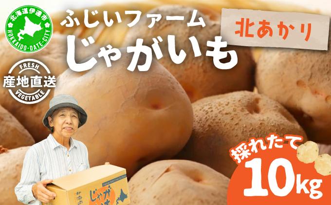 ＜先行予約＞北海道産 じゃがいも(北あかり) 約10kg【hjf-006】ジャガイモ 馬鈴薯 ポテト 芋 イモ きたあかり キタアカリ 野菜 人気 ふじいファーム