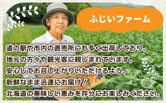 ＜先行予約＞北海道産 じゃがいも(北あかり) 約10kg【hjf-006】ジャガイモ 馬鈴薯 ポテト 芋 イモ きたあかり キタアカリ 野菜 人気 ふじいファーム