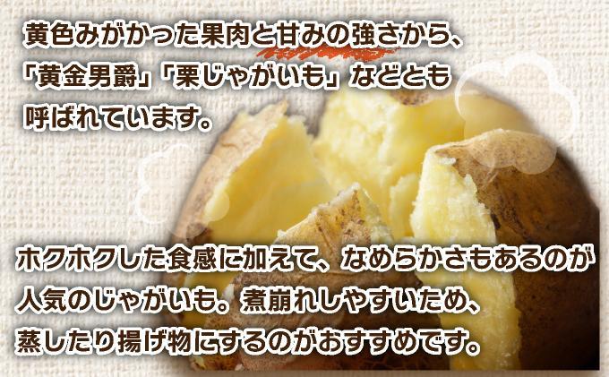 ＜先行予約＞北海道産 じゃがいも(北あかり) 約10kg【hjf-006】ジャガイモ 馬鈴薯 ポテト 芋 イモ きたあかり キタアカリ 野菜 人気 ふじいファーム