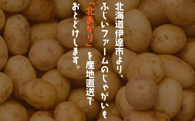 ＜先行予約＞北海道産 じゃがいも(北あかり) 約10kg【hjf-006】ジャガイモ 馬鈴薯 ポテト 芋 イモ きたあかり キタアカリ 野菜 人気 ふじいファーム