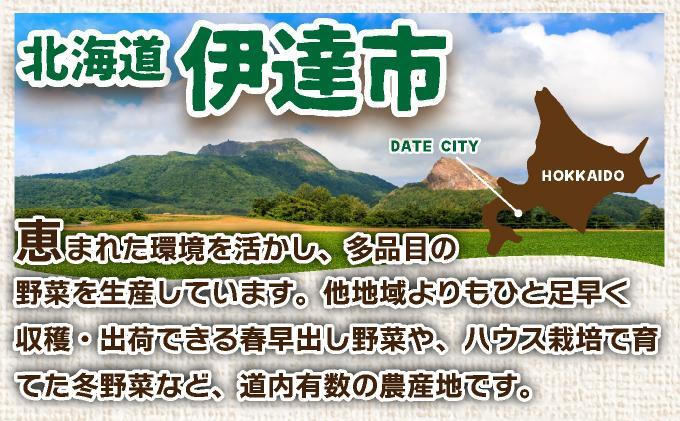 ＜先行予約＞北海道産 じゃがいも(北あかり) 約10kg【hjf-006】ジャガイモ 馬鈴薯 ポテト 芋 イモ きたあかり キタアカリ 野菜 人気 ふじいファーム