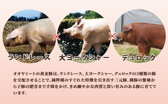 伊達産黄金豚 挽肉 2.2kg【200g×11パック】 普通挽き