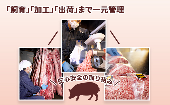 伊達産黄金豚 挽肉 2.2kg【200g×11パック】 あら挽き