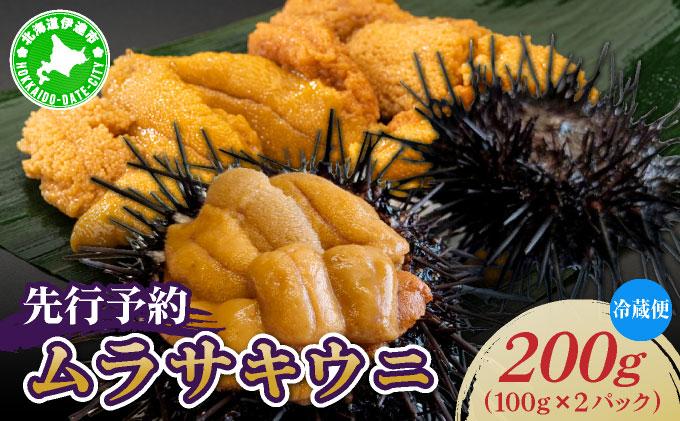 ＜先行予約＞ 北海道産 ムラサキウニ（正規品）200g【ogm-031】生うに 塩水うに ミョウバン不使用 海鮮 国産 北海道 伊達 ふるさと納税