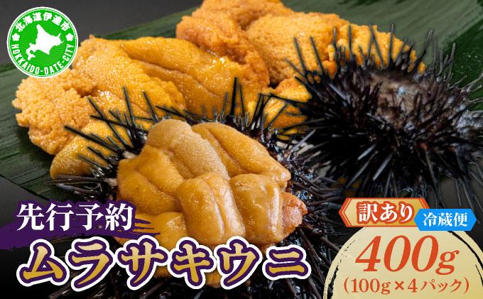 ＜先行予約＞ 北海道産 ムラサキウニ（訳あり）400g【ogm-042】生うに 塩水うに ミョウバン不使用 海鮮 訳あり 国産 北海道 伊達 ふるさと納税
