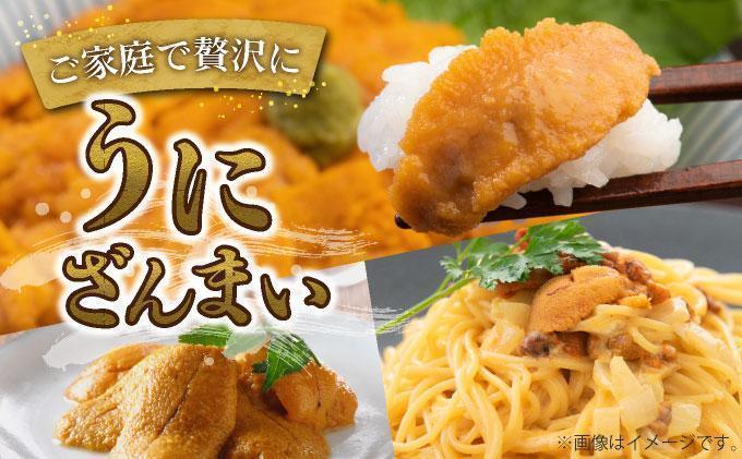 ＜先行予約＞ 北海道産 ムラサキウニ（訳あり）600g【ogm-044】生うに 塩水うに ミョウバン不使用 海鮮 訳あり 国産 北海道 伊達 ふるさと納税