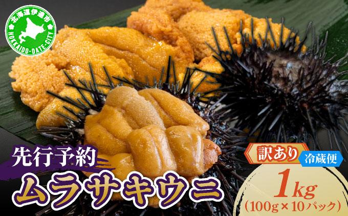＜先行予約＞ 北海道産 ムラサキウニ（訳あり）1kg【ogm-048】生うに 塩水うに ミョウバン不使用 海鮮 訳あり 国産 北海道 伊達 ふるさと納税