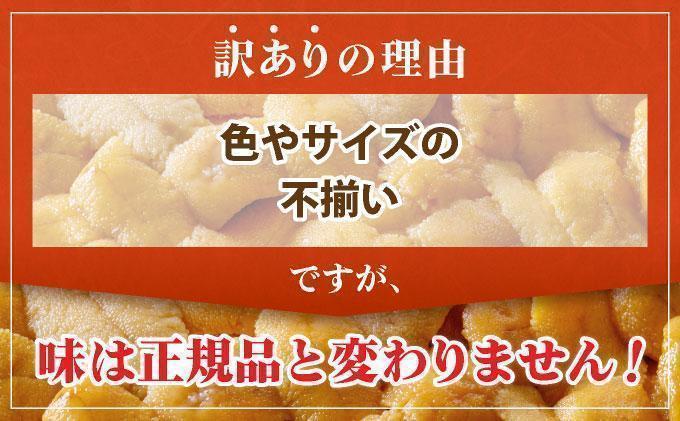 ＜先行予約＞ 北海道産 ムラサキウニ（訳あり）1kg【ogm-048】生うに 塩水うに ミョウバン不使用 海鮮 訳あり 国産 北海道 伊達 ふるさと納税