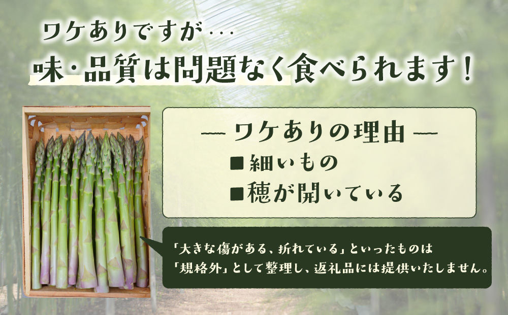 ＜先行予約＞【訳あり品】あまーい！北海道産夏アスパラ 2kg【ffk-007】北海道 伊達市 野菜 新鮮 アスパラガス ふるさと納税 送料無料