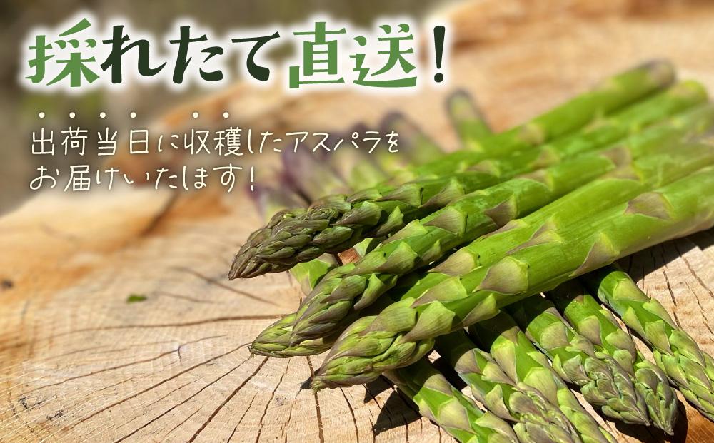 ＜先行予約＞【訳あり品】あまーい！北海道産夏アスパラ 4kg【ffk-008】北海道 伊達市 野菜 新鮮 アスパラガス ふるさと納税 送料無料