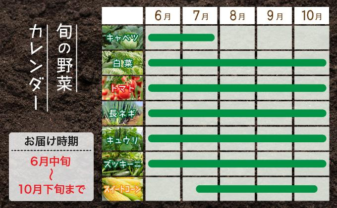 ＜定期便3回＞北海道 伊達市 産直・旬のおまかせ野菜詰合せ 9～10種【dnk-008】