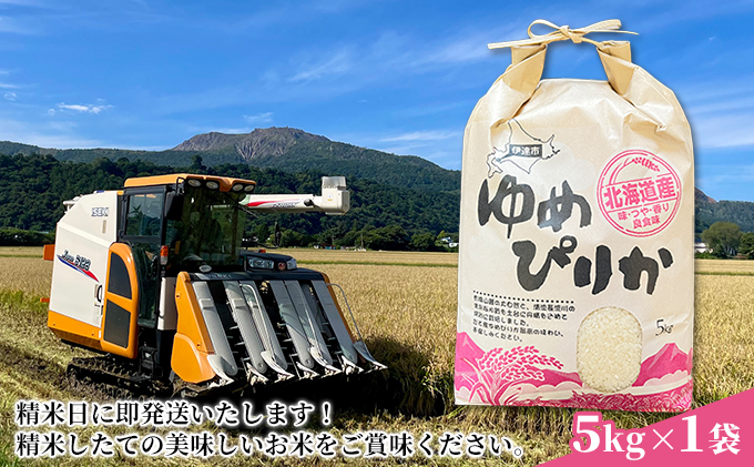 生産者 直送  3ヵ月 定期便【令和6年度】 北海道 伊達産 ゆめぴりか 5kg 精米