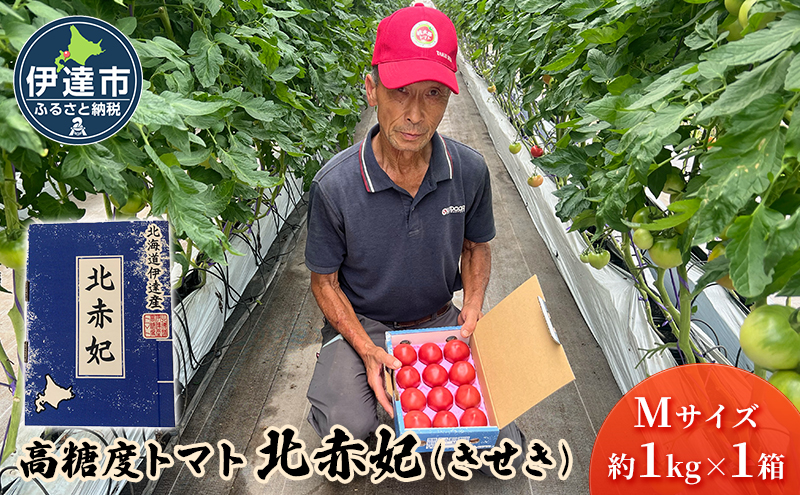 北海道伊達市 高糖度 トマト 北赤妃 きせき 約1kg  1箱 Mサイズ