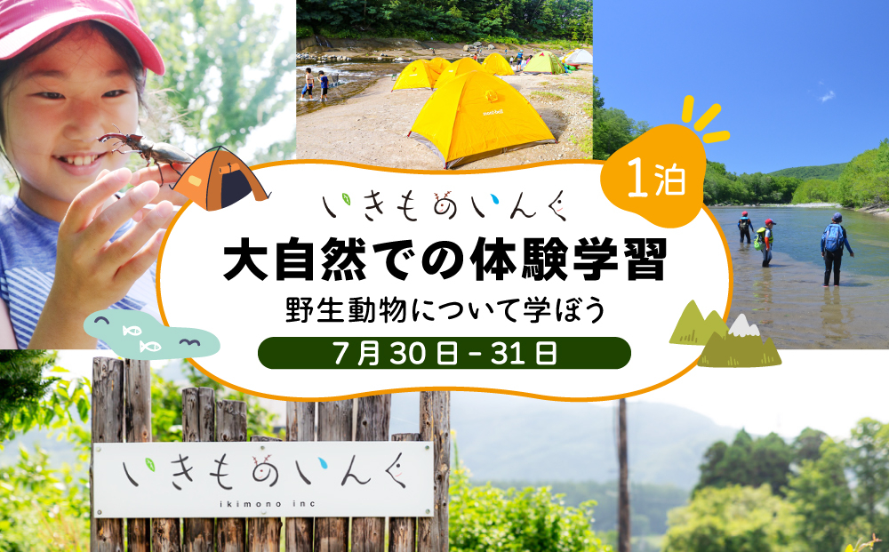 [2026年 7月30日(1泊)] 大自然での子ども体験学習キャンプ 野生動物について学ぼう![imi-001]北海道 伊達市 アウトドア 自然体験 体験チケット