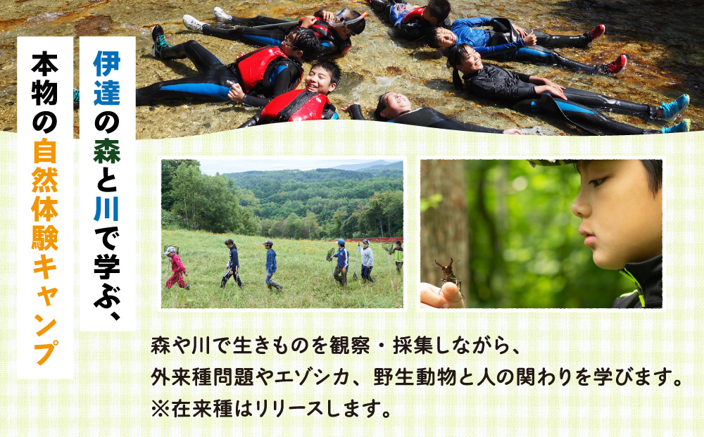 ＜2026年 8月20日(1泊)＞ 大自然での子ども体験学習キャンプ 野生動物について学ぼう！【imi-002】北海道 伊達市 アウトドア 自然体験 体験チケット