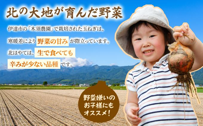 【 2026年 発送 】 先行予約 北海道 玉ねぎ 20kg M-L混合 北はやて【ksn-001】タマネギ たまねぎ 玉葱 玉ネギ オニオン 伊達野菜 野菜 新鮮 採れたて 産地直送 サラダ マリネ 肉じゃが オニオンスープ 木須農園 送料無料
