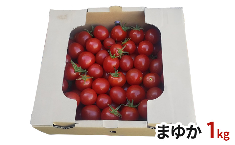 北海道伊達産 ミニトマト まゆか 1kg とまと 甘い