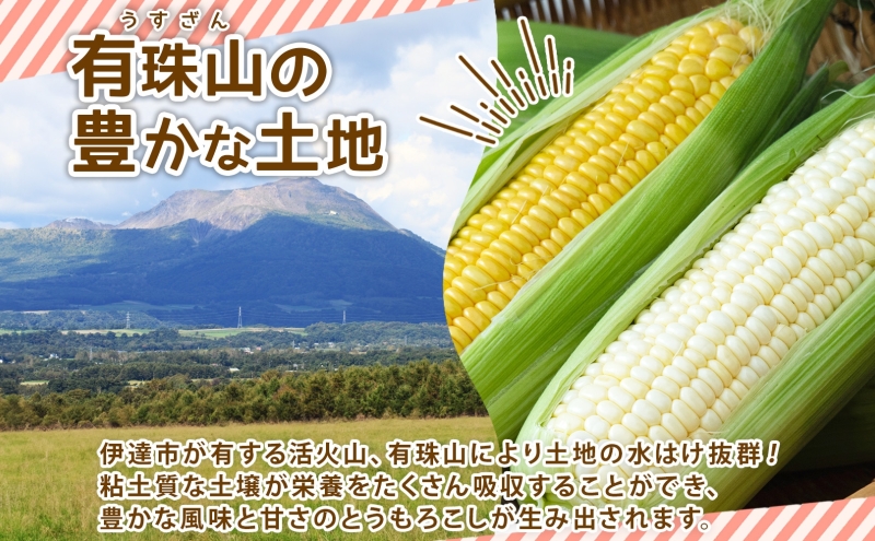  北海道産 とうもろこし 恵味 ゴールドラッシュ ホイップコーン トウモロコシ とうきび イエロー ホワイト コーン スイートコーン 先行受付 新鮮 産地直送 野菜 農作物 めぐみ ふじいファーム  送料無料 北海道 伊達