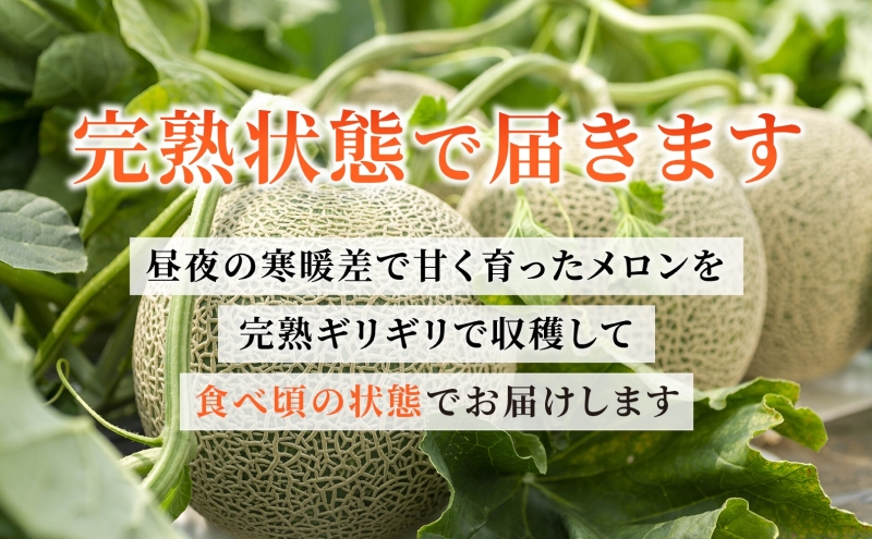 北海道産 有珠メロン 2玉 セット 青肉 Lサイズ 1.6kg以上×2玉 ツル付き グリーンメロン 果物 めろん フルーツ くだもの 完熟 旬 ご褒美 ギフト お祝い 産地直送 お取り寄せ 北海道 藤川農園 送料無料 伊達