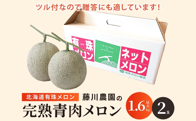 北海道産 有珠メロン 2玉 セット 青肉 Lサイズ 1.6kg以上×2玉 ツル付き グリーンメロン 果物 めろん フルーツ くだもの 完熟 旬 ご褒美 ギフト お祝い 産地直送 お取り寄せ 北海道 藤川農園 送料無料 伊達