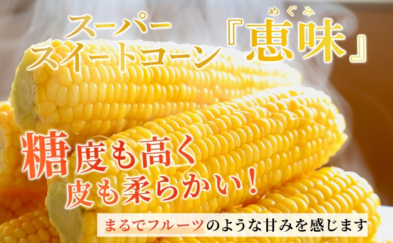 北海道産 朝もぎ とうもろこし 恵味 L-LLサイズ 約400g×15本 スイートコーン ゴールドコーン トウモロコシ とうきび コーン 旬 完熟 野菜 甘い おやつ 産地直送 お取り寄せ 北海道 送料無料 伊達 