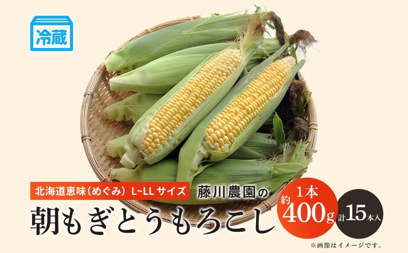 北海道産 朝もぎ とうもろこし 恵味 L-LLサイズ 約400g×15本 スイートコーン ゴールドコーン トウモロコシ とうきび コーン 旬 完熟 野菜 甘い おやつ 産地直送 お取り寄せ 北海道 送料無料 伊達 