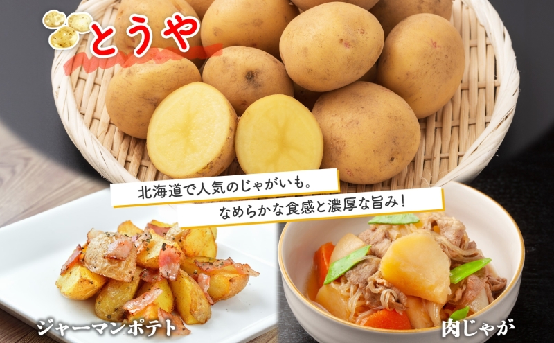  北海道 じゃがいも 2種 とうや メークイン 食べ比べ セット 各5kg 計10kg LM～2L サイズ 馬鈴薯 トウヤ メイクイーン ポテト イモ 根菜 農作物 産地直送