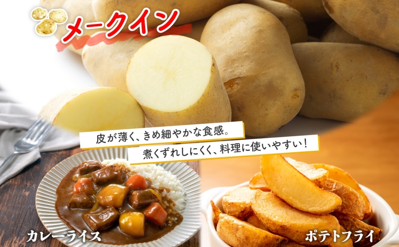  北海道 じゃがいも 2種 とうや メークイン 食べ比べ セット 各5kg 計10kg LM～2L サイズ 馬鈴薯 トウヤ メイクイーン ポテト イモ 根菜 農作物 産地直送