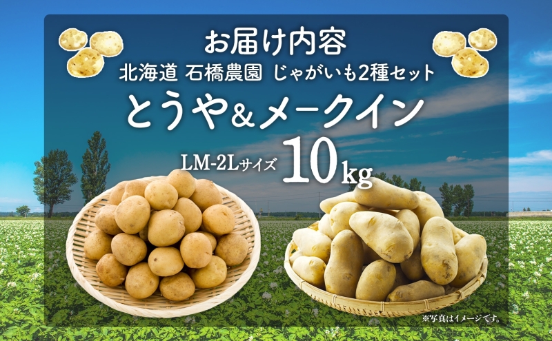  北海道 じゃがいも 2種 とうや メークイン 食べ比べ セット 各5kg 計10kg LM～2L サイズ 先行受付 馬鈴薯 トウヤ メイクイーン ポテト イモ 根菜 農作物 産地直送