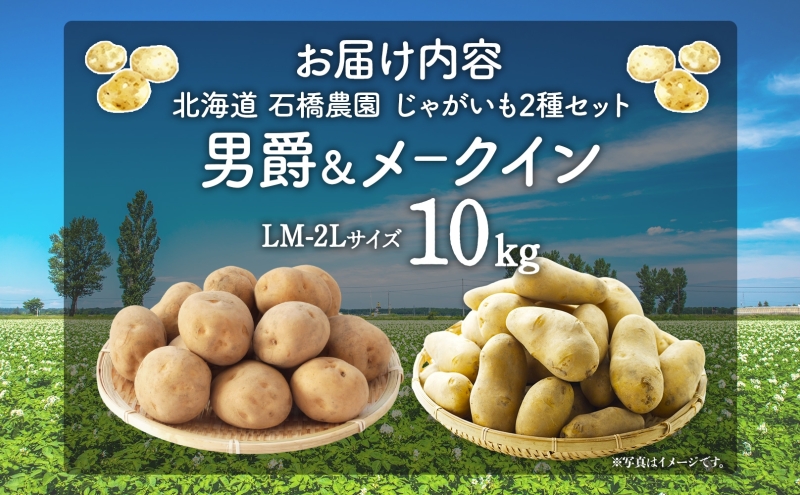  北海道 じゃがいも 2種 男爵 メークイン 食べ比べ セット 各5kg 計10kg LM～2Lサイズ 先行受付 馬鈴薯 だんしゃく メイクイーン ポテト イモ 根菜 農作物 産地直送