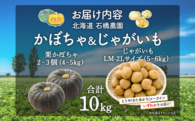  北海道 かぼちゃ じゃがいも セット 合計10kg ジャガイモ 馬鈴薯 ポテト 芋 イモ カボチャ パンプキン 緑黄色野菜 甘い ほくほく 農作物