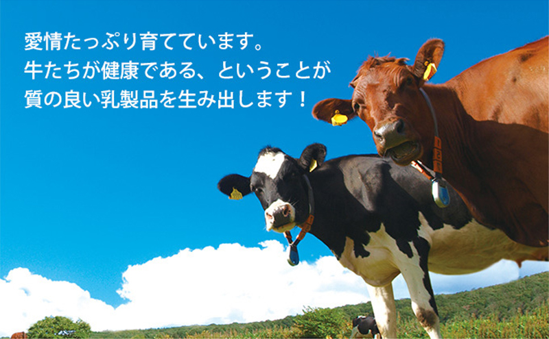 北海道 牧家 Bocca かける チーズ ソース カンコワイヨット 3個 セット 乳製品 フォンデュ
