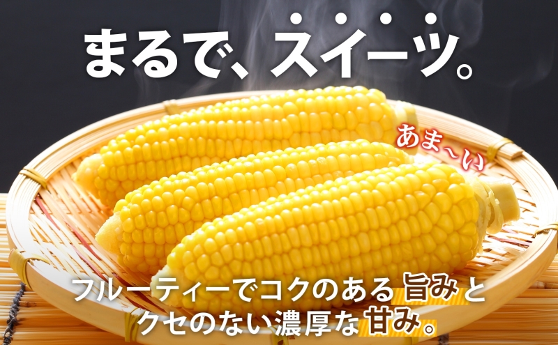 先行予約 【 2025年 発送 】北海道 朝もぎ とうもろこし 恵味 ゴールド L-LLサイズ 20本 スイート コーン トウモロコシ とうきび 旬 完熟 野菜 採れたて 朝採り 甘い めぐみ 産地直送 道産 送料無料