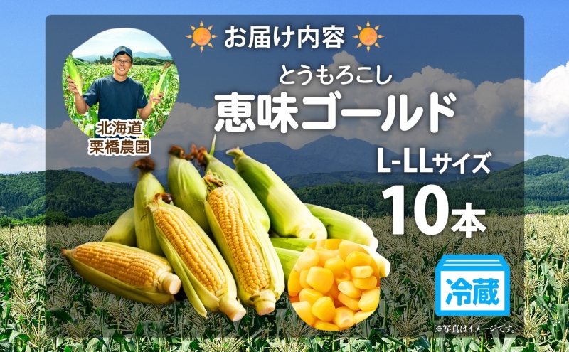 先行予約 【 2025年 発送 】北海道 朝もぎ とうもろこし 恵味 ゴールド L-LLサイズ 10本 スイート コーン トウモロコシ とうきび 旬 完熟 野菜 採れたて 朝採り 甘い めぐみ 産地直送 道産 送料無料