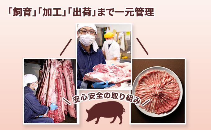 ＜2ヶ月に1回お届け＞伊達黄金豚のジューシーな切り落とし肉 2kg【200g×10パック】三元豚  豚肉 ぶた肉 スライス 小間切れ 小分け 冷凍